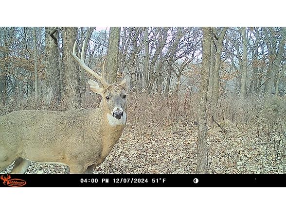 (3 PACK) Wildgame Innovations Insite-V Cellular Trail Camera 32 MP, 80ft Detection