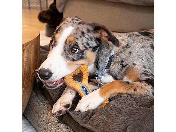 SPOT Bam-Bones Dental Drumstick Dog Chew Toy