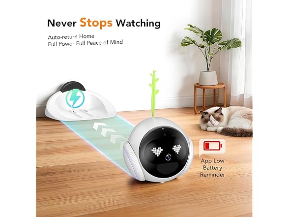 Pet Camera
