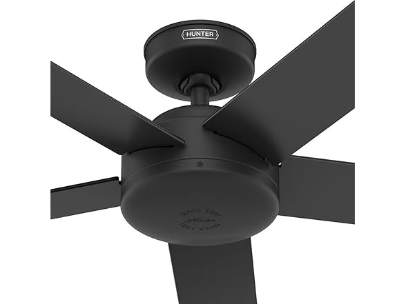 Hunter 52 Inch Black Outdoor / Indoor Ceiling Fan