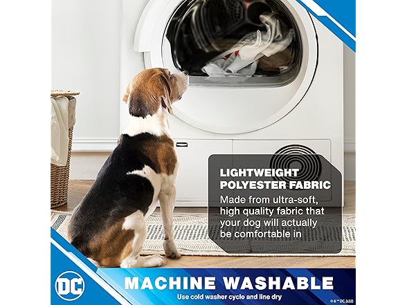 DC Comics Superhero Aquaman Halloween Dog Costume