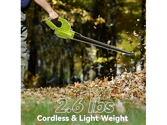 Leaf Blower Cordless with 2 Battery and Charger