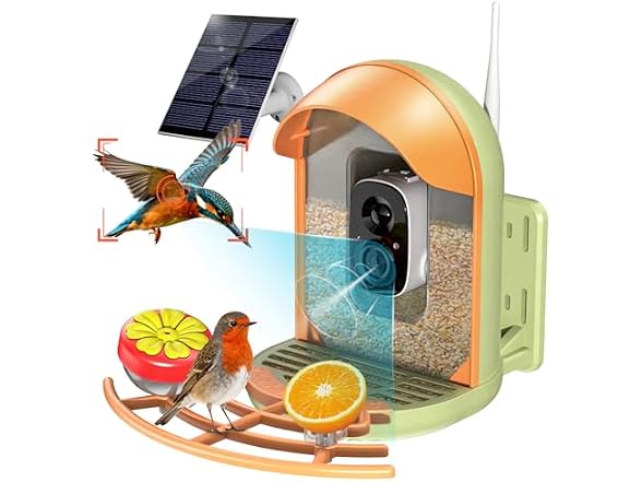 Solar Powered Bird Feeder with Camera