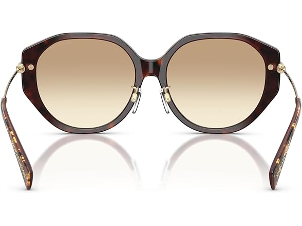 Michael Kors Women's MK2248D Jinan Sunglasses