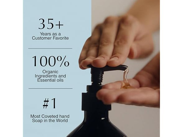 Aesop Reverence Exfoliating Hand Wash 500ml