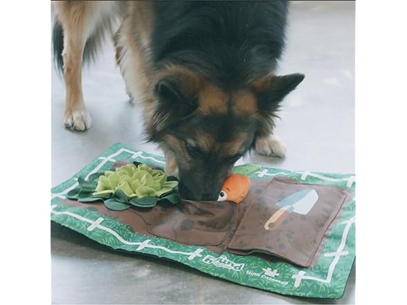 Outward Hound Garden Game Dog Puzzle