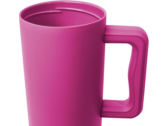 Simple Modern 40 oz Tumbler with Handle and Straw Lid Zinnia