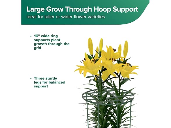 Grow Through Hoops, 16" W x 24.5" H