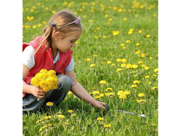 WORKPRO GAR-18 WORKPRO Dandelion Weeder 11.5in