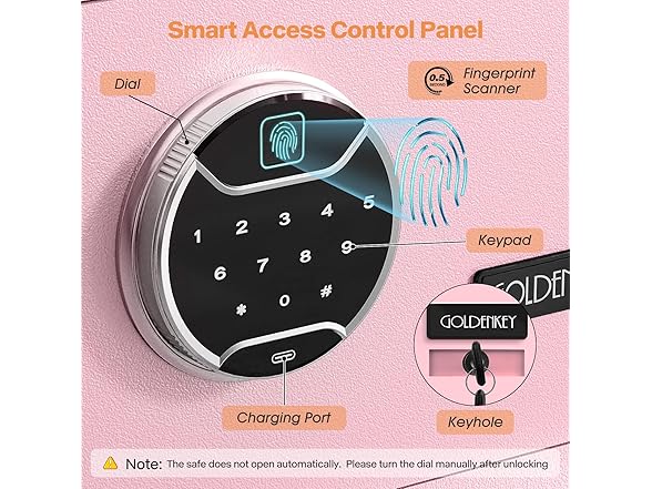 GOLDENKEY Fingerprint Safe