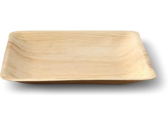 Inposable Platech Square Palm Leaf Plates