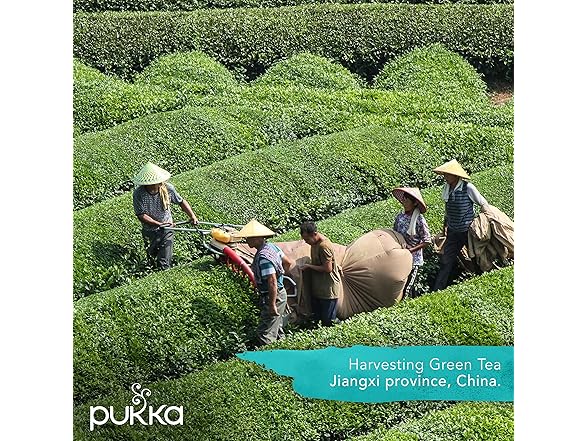 PUKKA Selection Box, 1 EA