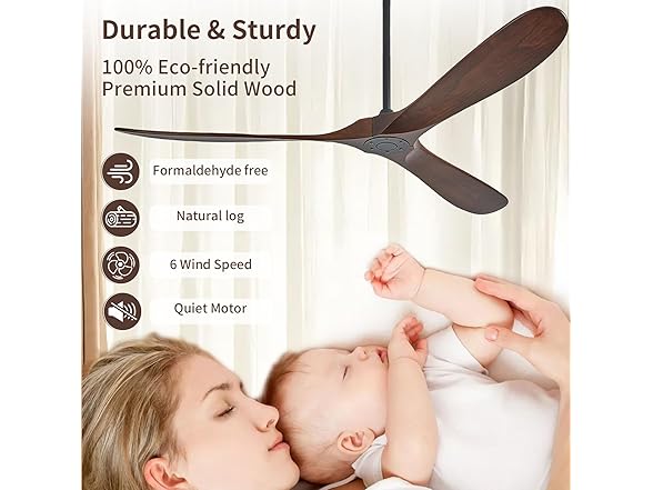 Zronon Outdoor Ceiling Fan No Light