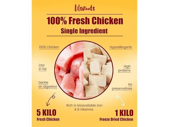 LILSNOOTS Freeze Dried Chicken Treats