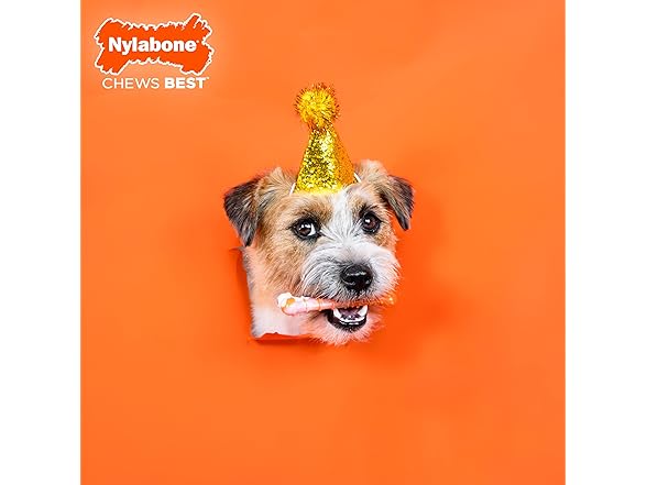 Nylabone Limited Edition 70th Birthday Textured Bone