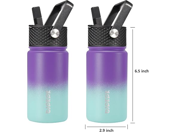 BJPKPK Insulated Water Bottle, 15oz Lavender