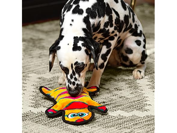 Outward Hound Durablez Large Gecko