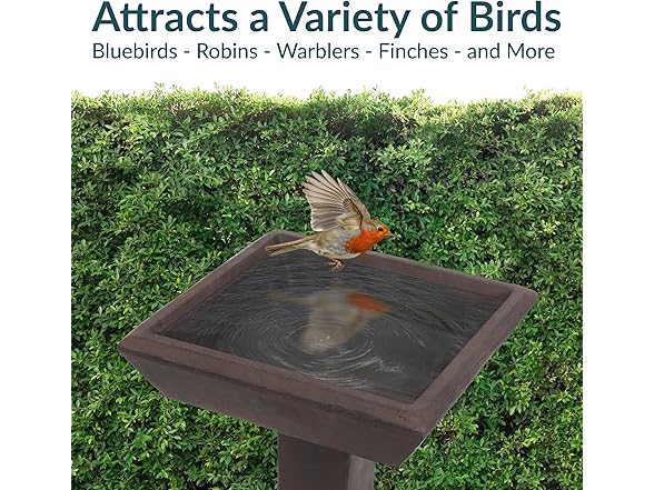 Sunnydaze 23” H Concrete Bird Bath Brown