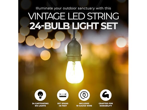 Globe Electric Dublin Collection, 48', S14, LED String Light Set