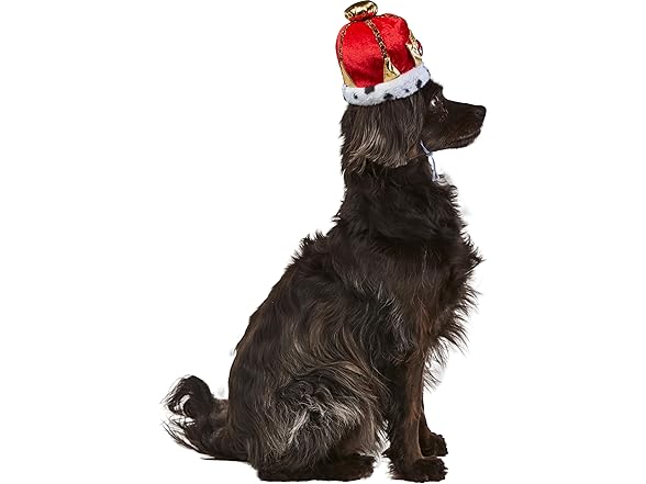 Rubies King Pet Crown for Dogs or Cats, S/M