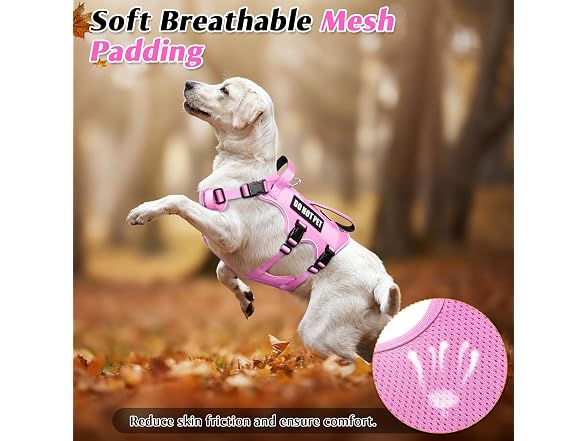 Winsee Escape Proof Service Dog Harness