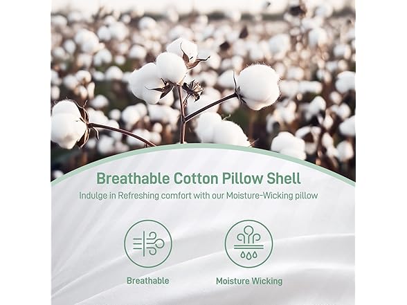 Cotelovo Down Alternative Queen Pillows