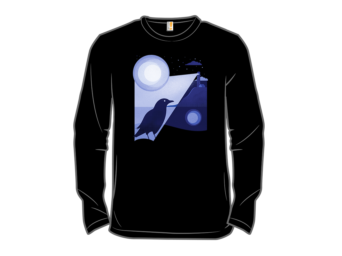 Bird Illuminated By The Lighthouse - Gallery 13