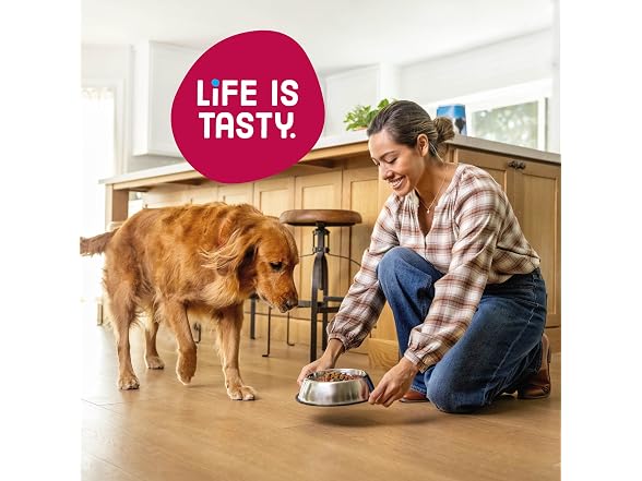 Bistro Beef Dry Dog Food 45lb