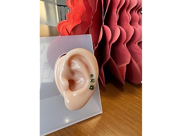 J.aey Titanium Earrings