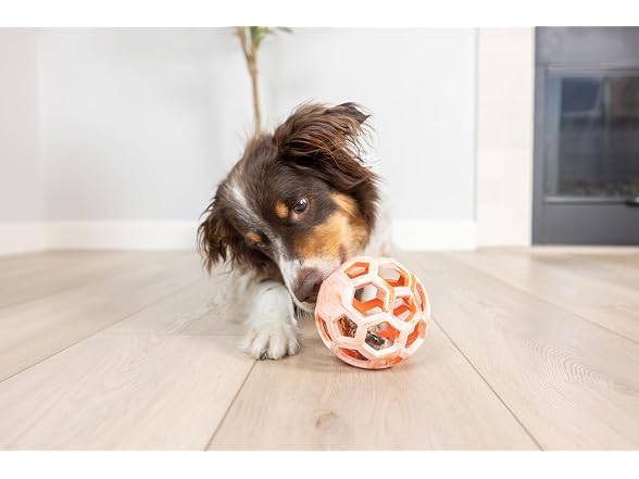Chuckit! Holee Roller Dog Treat Puzzle Ball, Medium