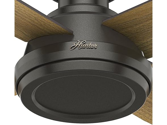 Hunter Fan 52 inch Low Profile Modern Ceiling Fan