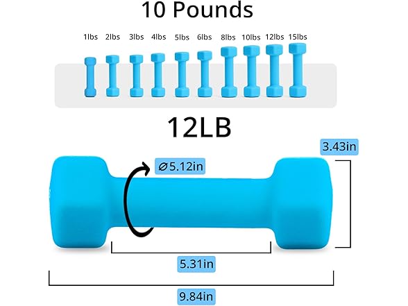 Portzon Weights Dumbbells 12 LB, Pair