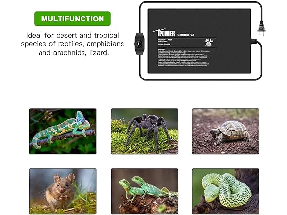 iPower 8 by 12 Inch Reptile Heating Pad