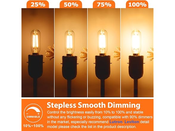 Brightever B0GVCR2RHY 2W T25 LED Light Bulbs 2200K 6