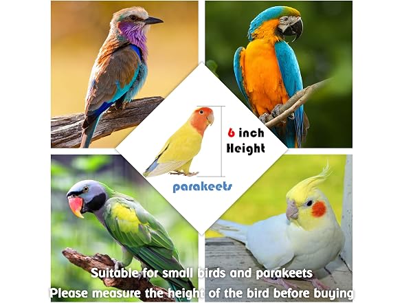 Bird Carrier Travel Cage, 21 inch with Wooden Perch