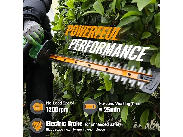 WORKPROX Cordless Hedge Trimmer Blue and Green