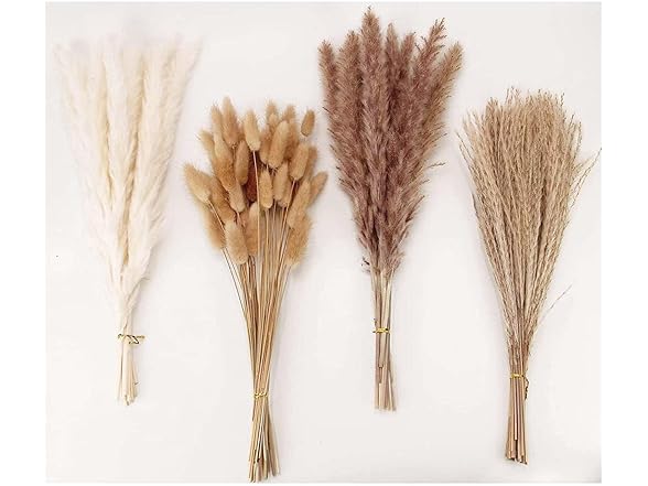 Dried Pampas Grass Decor 100 PCS
