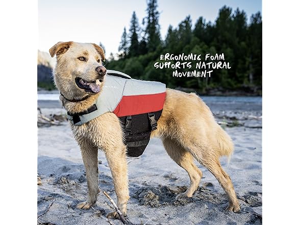 Astral BirdDog Canine Life Jacket - Durable
