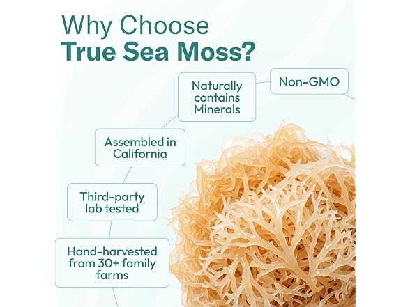 TrueSeaMoss 5-in-1 Immune Support Sea Moss Gel 16oz