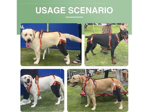 LISPOO Dog Knee Brace for ACL/CCL Injuries,To