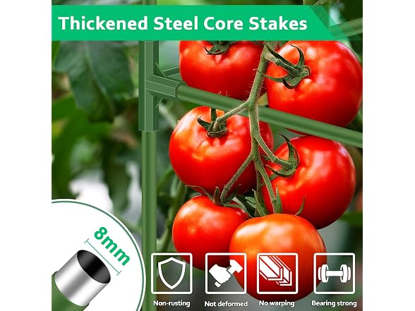WLLEYAY 3 Pack Square Tomato Cages