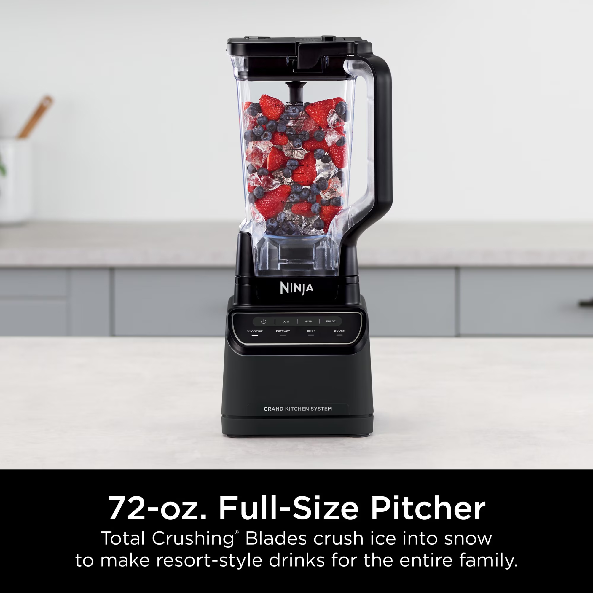 Ninja Grand Kitchen System Blender - Gallery 23