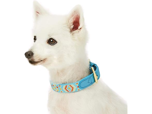 Blueberry Pet 3 Patterns Southwestern Magical