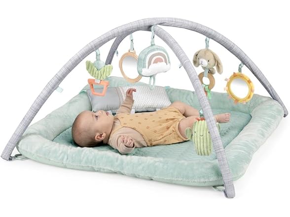 Ingenuity Calm Springs Plush Activity Gym