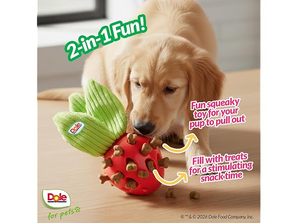 Dole for Pets Dog Puzzle Toy with Crinkle Squeak Insert