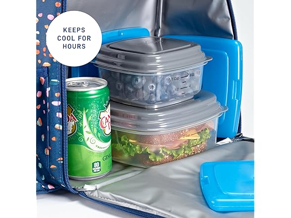 Cool Coolers by Fit + Fresh, Slim Ice Packs