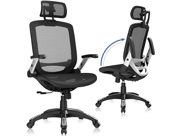 GABRYLLY GYB01 Ergonomic Mesh Office Chair