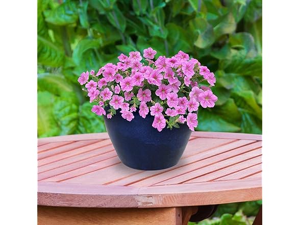 Sunnydaze Large Ceramic Plant Pot 14.5"