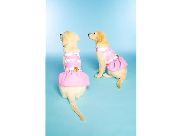 Doggy Parton Pink Cowgirl Collared Dress - XS