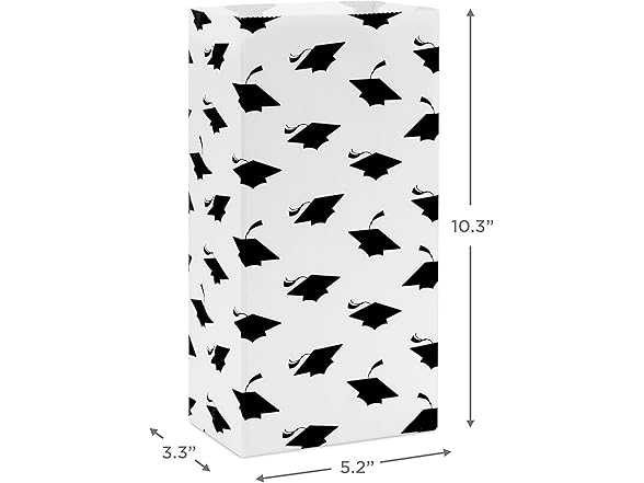 Hallmark Grad Party Favor Bags 30Ct